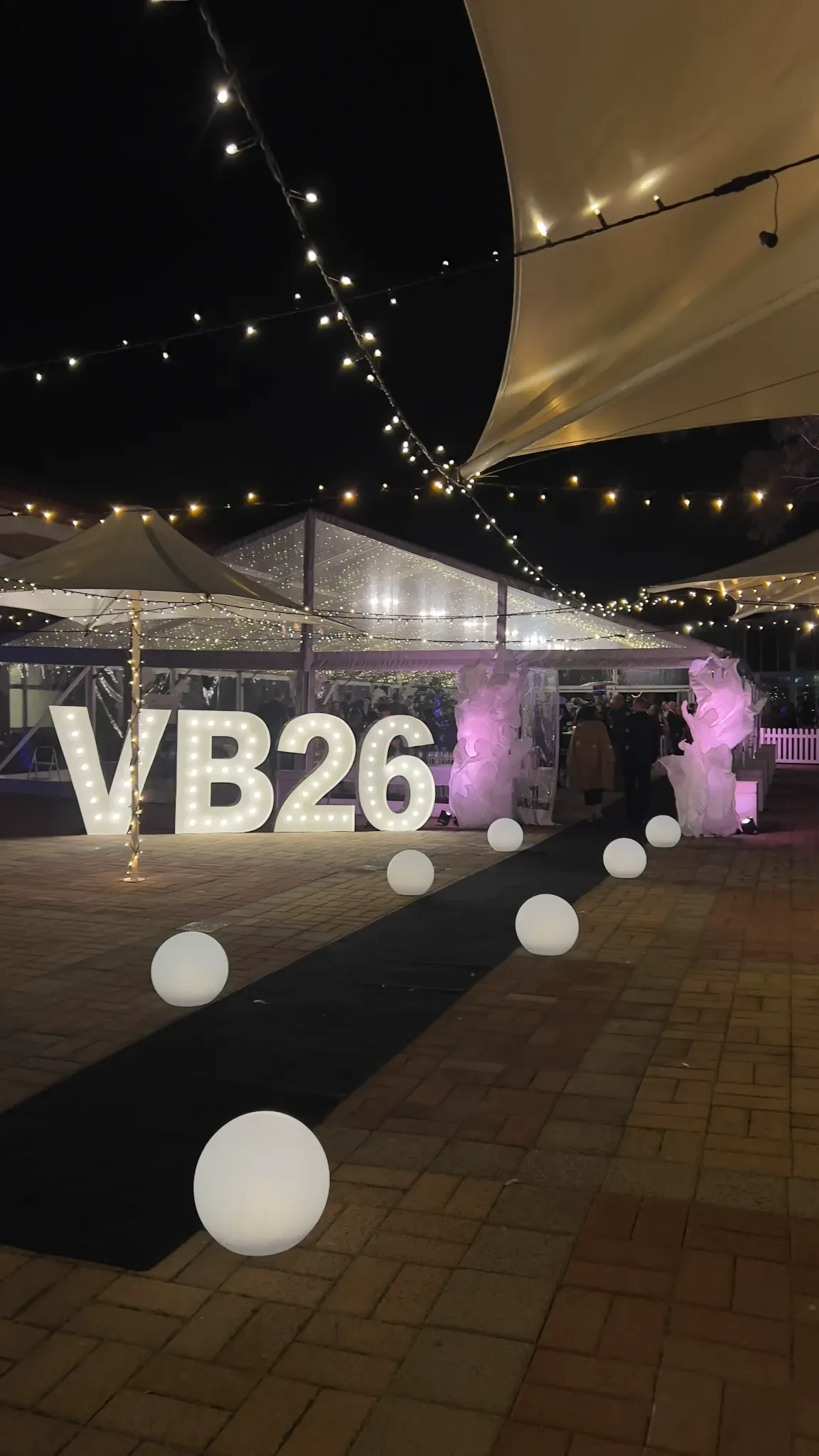 Giant Silk Art corporate event installation — project image 4